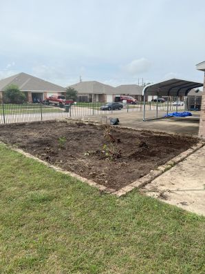 Yard Cleanout In Austin, TX (1)