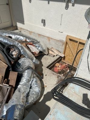 Crawl Space Cleanout In Salado, TX (1)