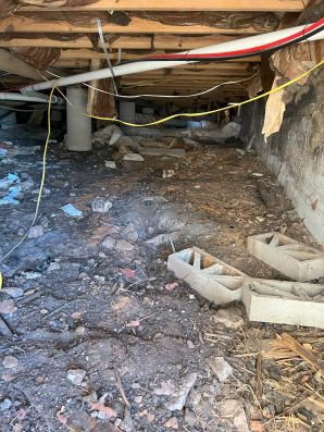 Crawl Space Cleanout In Salado, TX (4)