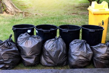 Yard Waste Removal in Mound