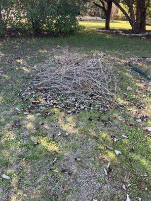 Yard Waste Removal in Temple, TX (1)