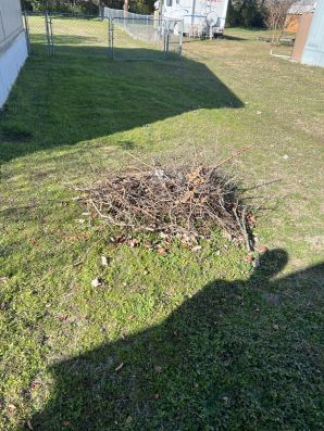 Yard Waste Removal in Temple, TX (2)