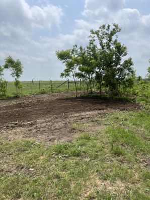 Demolition & Land Clearing Services in Belton, TX (3)